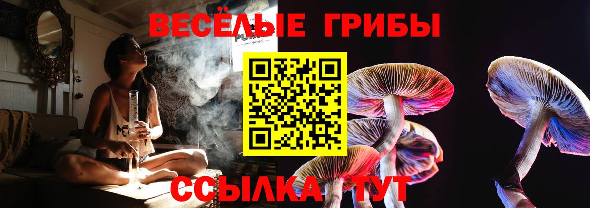 Галлюциногенные грибы прущие грибы Чайковский