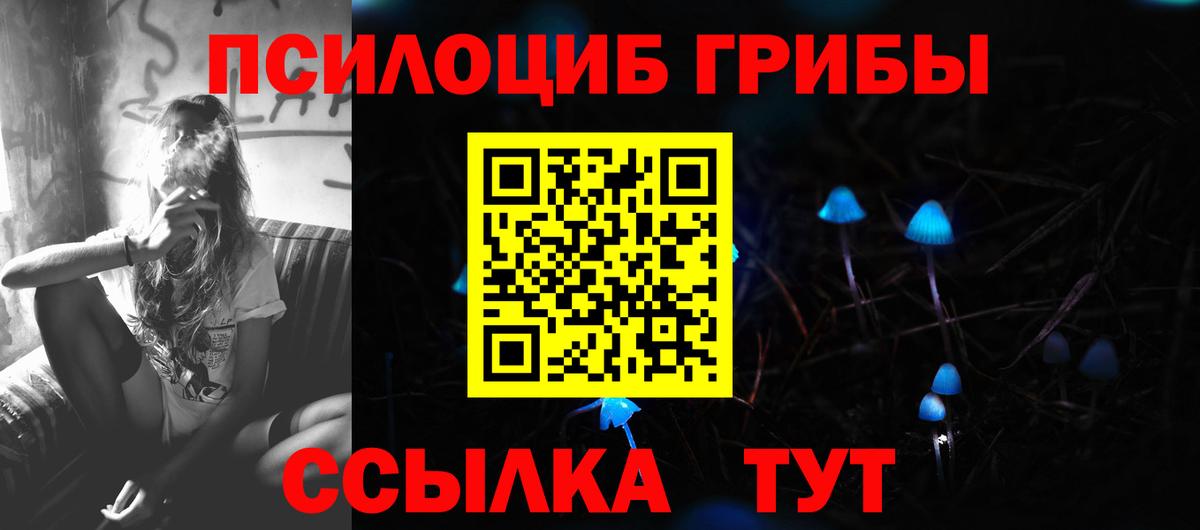 Чайковский  Галлюциногенные грибы Cubensis  Вход с VPN  Галлюциногенные грибы ЛСД 